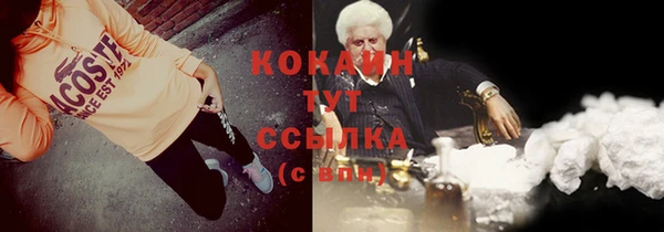 apvp Алексин