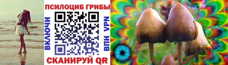 Галлюциногенные грибы Psilocybine cubensis  Лениногорск 