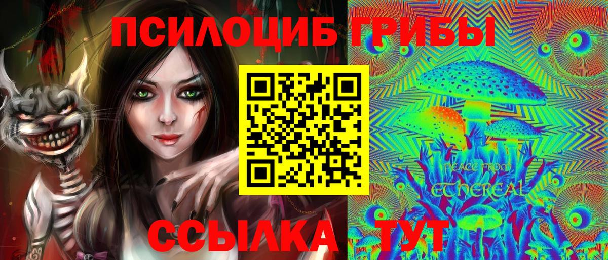 Лениногорск  Галлюциногенные грибы Cubensis  Вход с VPN 